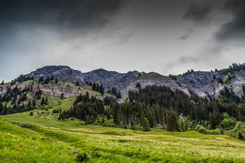 2017_06_09 (0009).jpg - Lac de St Guérin (Juin 2017)